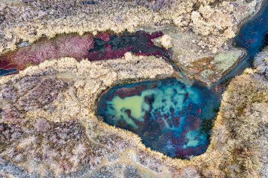 Exploring Yakima: A Guide to Farm and Ranch Properties in Central Washington